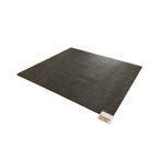 ゼンケン 電気ホットカーペット 3畳タイプ 本体 電磁波カット ZCB-30P zenken