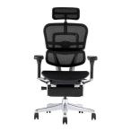 関家具 EHP2-LPL-DR-BF-BK ブラックkフレーム×ブラック オフィスチェア Ergohuman PRO2 ottoman
