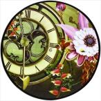 輸入盤 RUSH / GARDEN （10 INCH PICTURE DISC） [10inch]