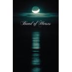 輸入盤 BAND OF HORSES / CEASE TO BEGIN [TAPE]