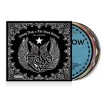 зарубежная запись JIMMY PAGE & BLACK CROWES / LIVE AT THE GREEK [3CD]