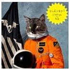 輸入盤 KLAXONS / SURFING THE VOID [CD]
