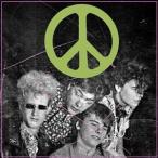 輸入盤 FLAMING LIPS / SCRATCHING THE DOOR： THE FIRST RECORDINGS OF THE FLAMING LIPS [CD]