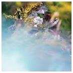 輸入盤 bEEdEEgEE / SUM／ONE [CD]
