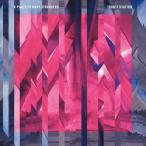 ͢ PLACE TO BURY STRANGERS / TRANSFIXIATION [CD]