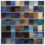 輸入盤 TINDERSTICKS / SOMETHING RAIN [CD]