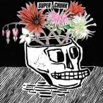 輸入盤 SUPERCHUNK / WHAT A TIME TO BE ALIVE [LP]