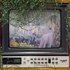  зарубежная запись ELIZABETH COOK / GREAT TELEVISION [CD]