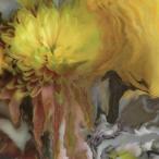  зарубежная запись PARKER MILLSAP / WILDERNESS WITHIN YOU [CD]