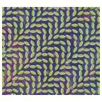 輸入盤 ANIMAL COLLECTIVE / MERRIWEATHER POST PAVILION [CD]