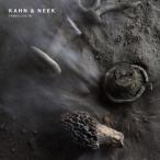  зарубежная запись KAHN & NEEK / FABRICLIVE 90 [CD]