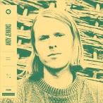  зарубежная запись ANDY JENKINS / SWEET BUNCH [CD]