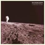  зарубежная запись CAROLINA STORY / DANDELION [CD]