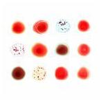 輸入盤 PETER GABRIEL / SCRATCH MY BACK ／ AND I ’LL SCRATCH YOURS [2CD]
