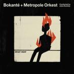 輸入盤 BOKANTE ＆ METROPOLE ORKEST ＆ JULES BUCKLEY / WHAT HEAT [CD]