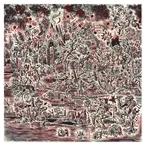 輸入盤 CASS MCCOMBS / BIG WHEEL ＆ OTHERS [2CD]