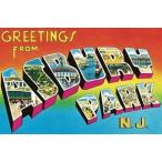 輸入盤 BRUCE SPRINGSTEEN / GREETINGS FROM ASBURY PARK N.J [LP]