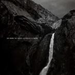  зарубежная запись JOE HENRY / GOSPEL ACCORDING TO WATER [2LP]