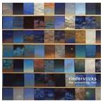 輸入盤 TINDERSTICKS / SOMETHING RAIN [CD]