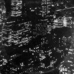 輸入盤 TIMBER TIMBRE / SINCERELY FUTURE POLLUTION [CD]