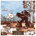 輸入盤 OKKERVIL RIVER / SILVER GYMNASIUM [CD]