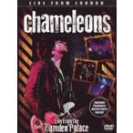  зарубежная запись CHAMELEONS / LIVE FROM LONDON [DVD]