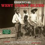  зарубежная запись VARIOUS / ESSENTIAL EAST COAST BLUES [2LP]