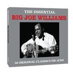  зарубежная запись BIG JOE WILLIAMS / ESSENTIAL [2CD]