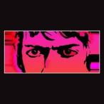 輸入盤 DELICATE STEVE / TILL I BURN UP [LP]