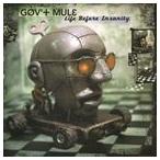 輸入盤 GOV’T MULE / LIFE BEFORE INSANITY [2LP]