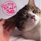 耳かき猫 耳かきどうよ?