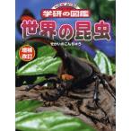 Yahoo! Yahoo!ショッピング(ヤフー ショッピング)世界の昆虫
