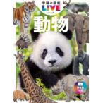 動物