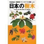 日本の樹木