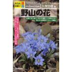 Yahoo! Yahoo!ショッピング(ヤフー ショッピング)野山の花