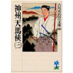 神州天馬侠 3