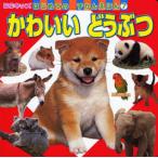 Yahoo! Yahoo!ショッピング(ヤフー ショッピング)かわいいどうぶつ