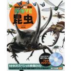 昆虫