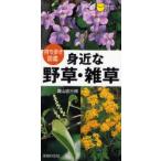 Yahoo! Yahoo!ショッピング(ヤフー ショッピング)身近な野草・雑草