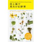 花と葉で見わける野草
