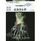 観葉植物ビカクシダ