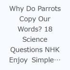 Why Do Parrots Copy Our Words? 18 Science Questions NHK Enjoy Simple English Readers