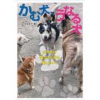 かむ犬、うなる犬 犬たちが傷ついた犬を癒していく