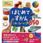 はじめてずかん これ、な〜に?650 写真で言葉がぐんぐんわかる! 英語つきの写真とことば