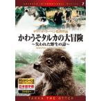 DVD かわうそタルカの大冒険