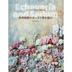 多肉植物のみっちり寄せ植え エケベリアやセダムで楽しむ