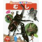むし