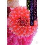  цветок ...., слова .....