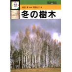 検索入門冬の樹木