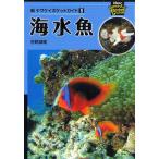 海水魚